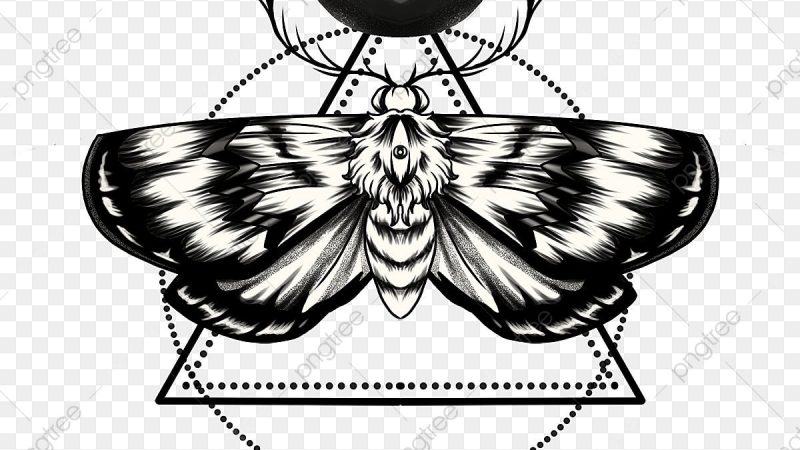 Death Head Moth Tattoo Meanings and Ideas