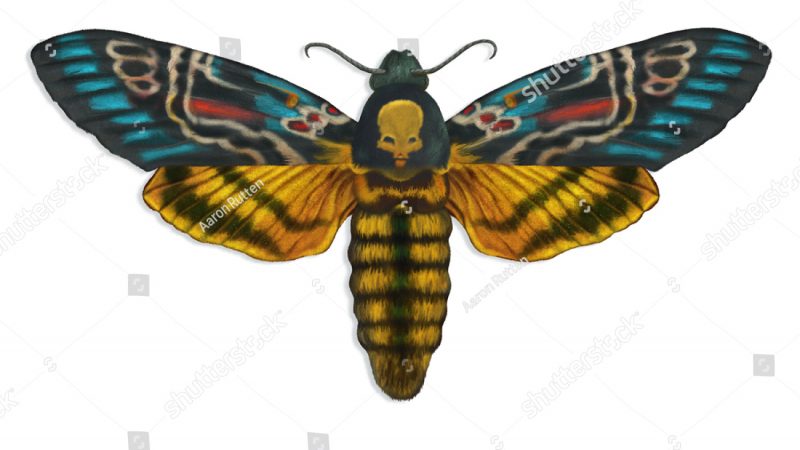 Death Moth Tattoo Meaning